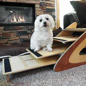 Chloe demonstrates features of adjustable dog steps